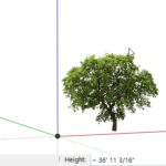 PNG Trees: Part 3 - Stand-Alone Tree Model
